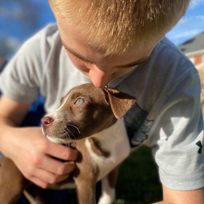 How a 14-Year-Old Boy Turned Helping Shelter Dogs Into a Full-On Hero Mission