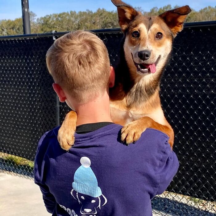 How a 14-Year-Old Boy Turned Helping Shelter Dogs Into a Full-On Hero Mission