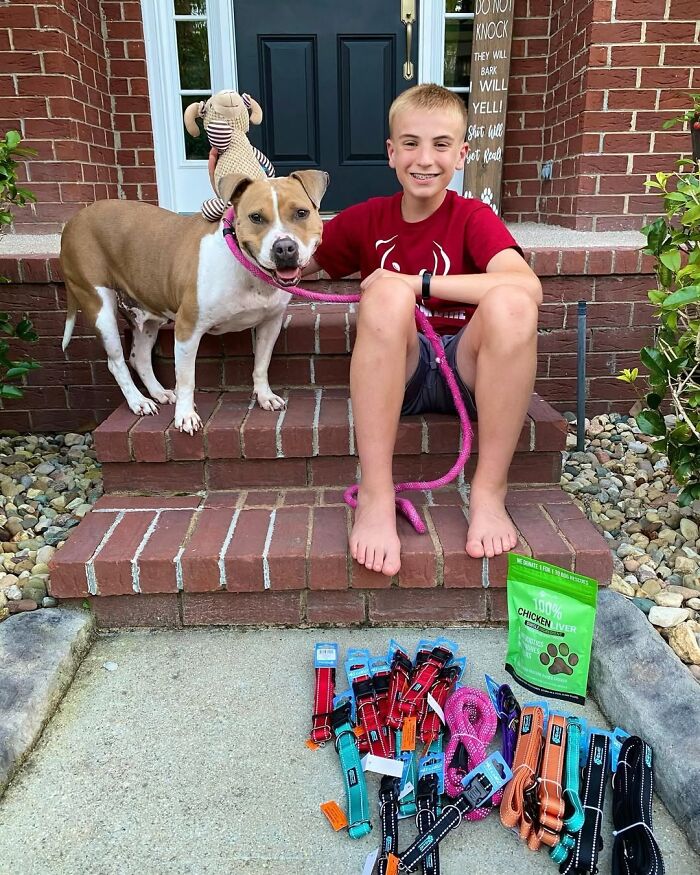 How a 14-Year-Old Boy Turned Helping Shelter Dogs Into a Full-On Hero Mission