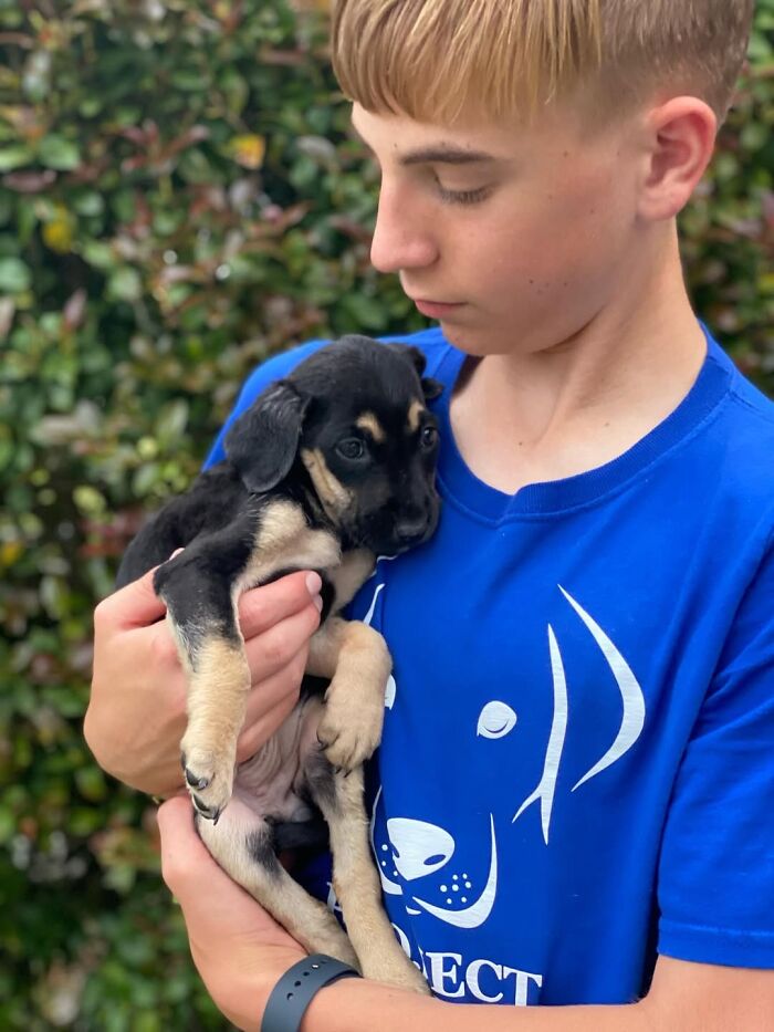 How a 14-Year-Old Boy Turned Helping Shelter Dogs Into a Full-On Hero Mission