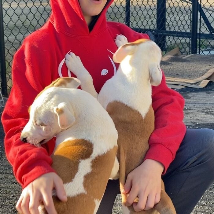 How a 14-Year-Old Boy Turned Helping Shelter Dogs Into a Full-On Hero Mission