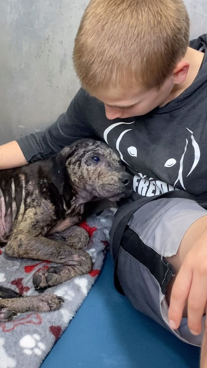 How a 14-Year-Old Boy Turned Helping Shelter Dogs Into a Full-On Hero Mission