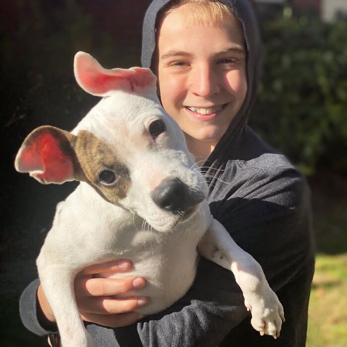 How a 14-Year-Old Boy Turned Helping Shelter Dogs Into a Full-On Hero Mission