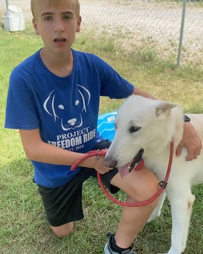 How a 14-Year-Old Boy Turned Helping Shelter Dogs Into a Full-On Hero Mission