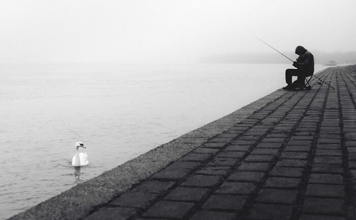 Can Fewer Colors Be More Cool? Check Out These Epic Minimalist Photos!