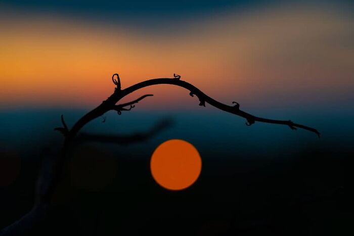 Can Fewer Colors Be More Cool? Check Out These Epic Minimalist Photos!