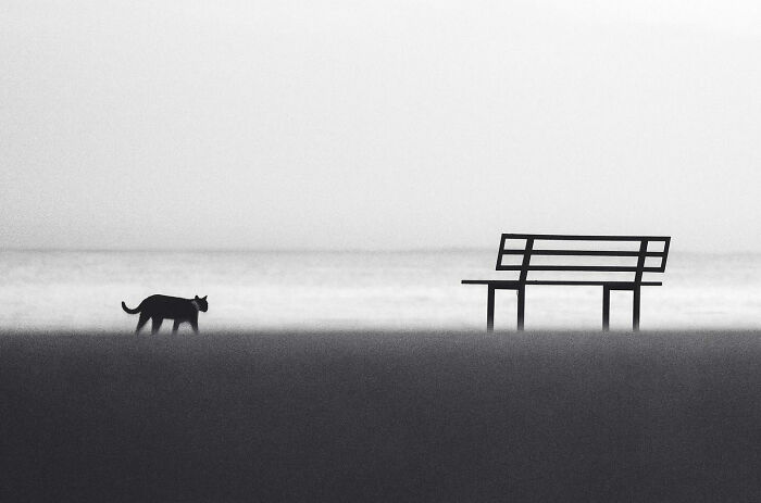 Can Fewer Colors Be More Cool? Check Out These Epic Minimalist Photos!