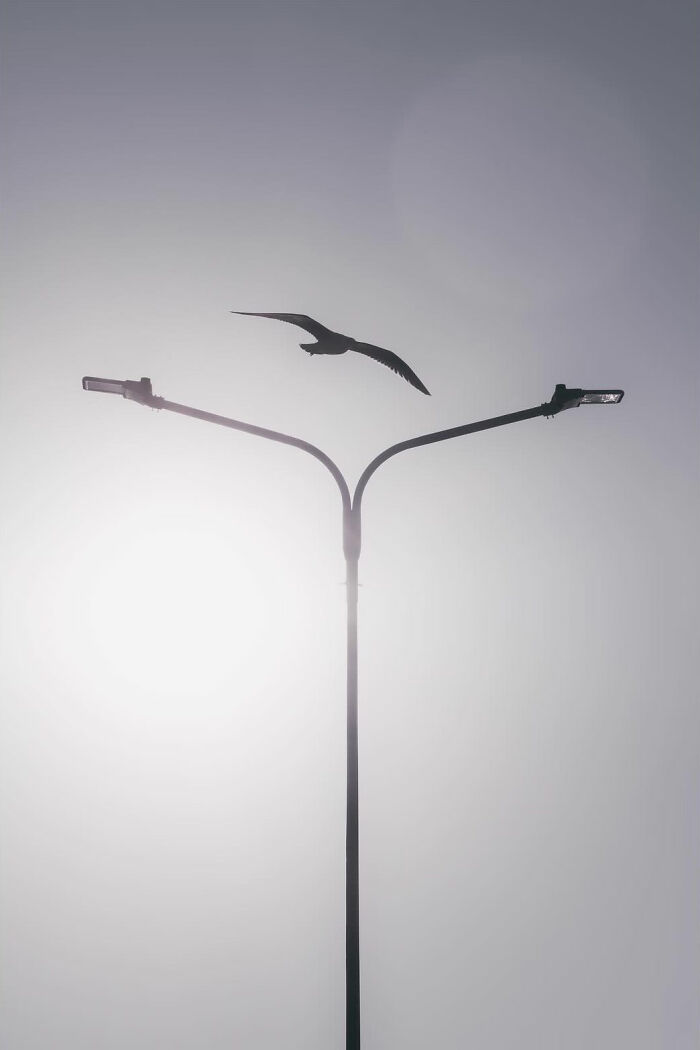 Can Fewer Colors Be More Cool? Check Out These Epic Minimalist Photos!