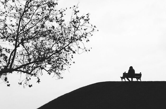 Can Fewer Colors Be More Cool? Check Out These Epic Minimalist Photos!