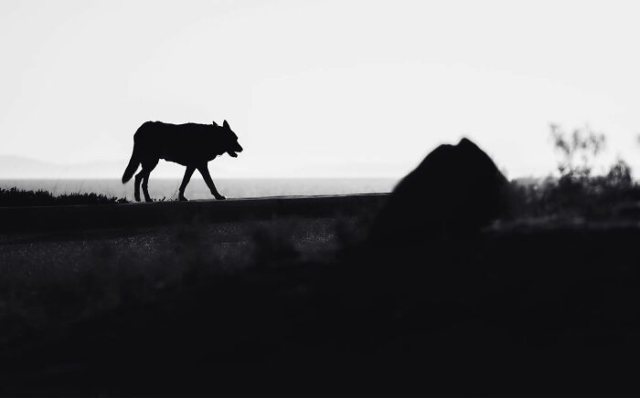 Can Fewer Colors Be More Cool? Check Out These Epic Minimalist Photos!