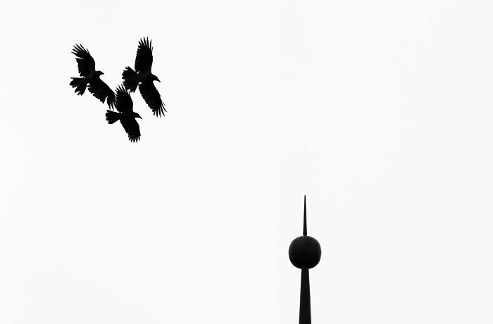 Can Fewer Colors Be More Cool? Check Out These Epic Minimalist Photos!