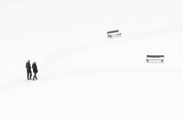 Can Fewer Colors Be More Cool? Check Out These Epic Minimalist Photos!