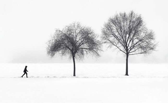 Can Fewer Colors Be More Cool? Check Out These Epic Minimalist Photos!