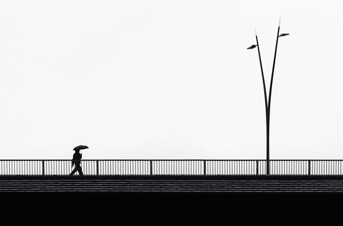 Can Fewer Colors Be More Cool? Check Out These Epic Minimalist Photos!