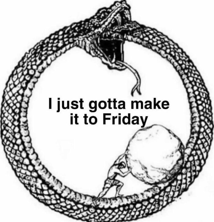 Wait, Existential Memes Are THIS Funny?