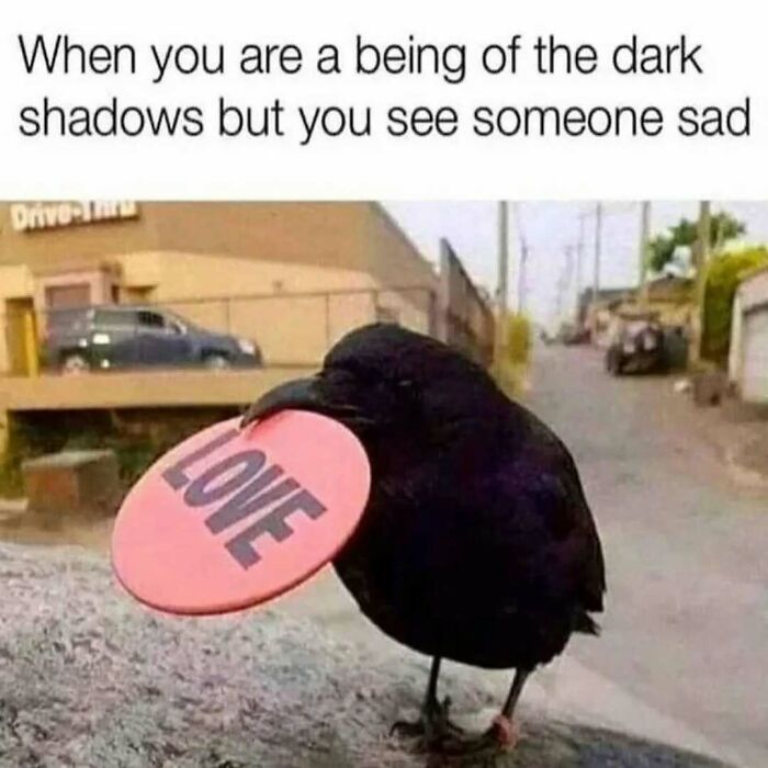 Wait, Existential Memes Are THIS Funny?