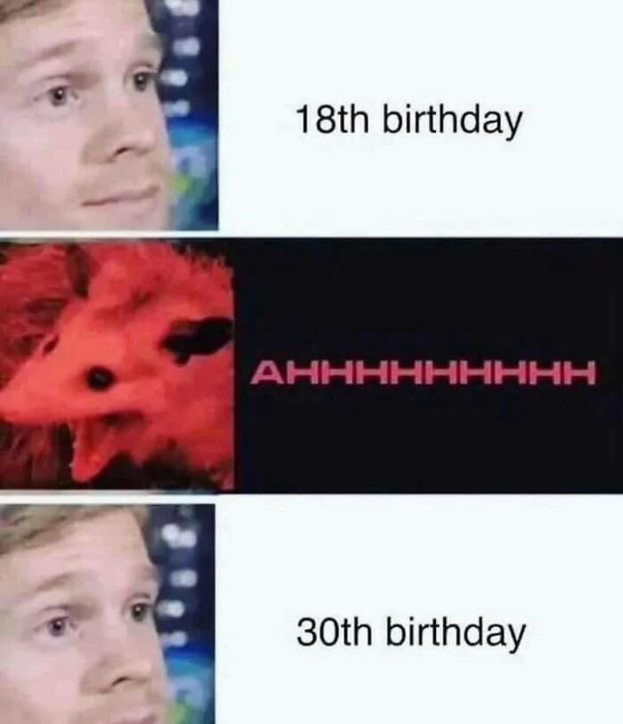 Wait, Existential Memes Are THIS Funny?