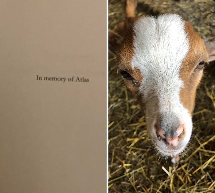 Wait, Strangers Can Be Actually This Nice?!