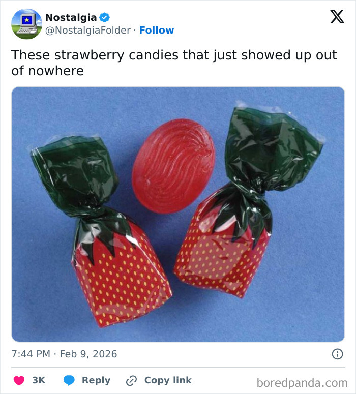 Let's Take a Fun Trip Down Memory Lane!