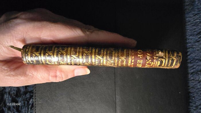 Whoa! Check Out These Mind-Blowing Antique Treasures