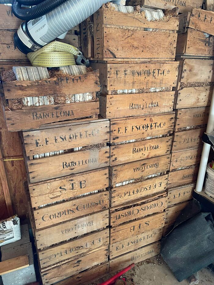 Whoa! Check Out These Mind-Blowing Antique Treasures