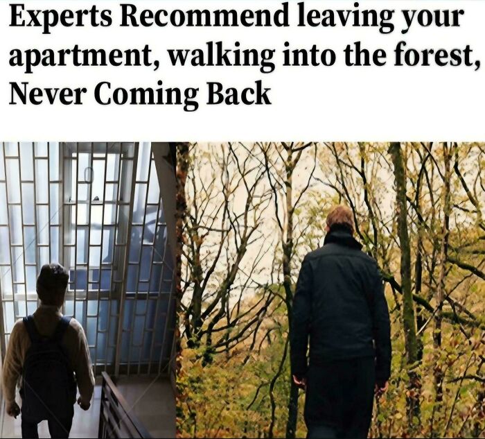 Experts Finally Saying ‘I’ve Had Enough’ XD