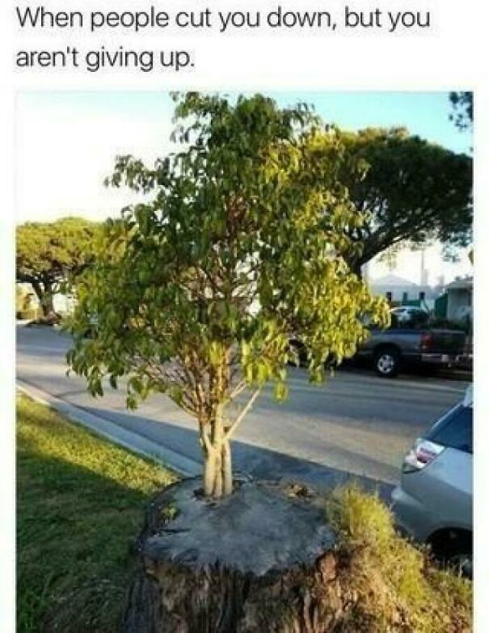 I Give Up… Before They Even Show Up!