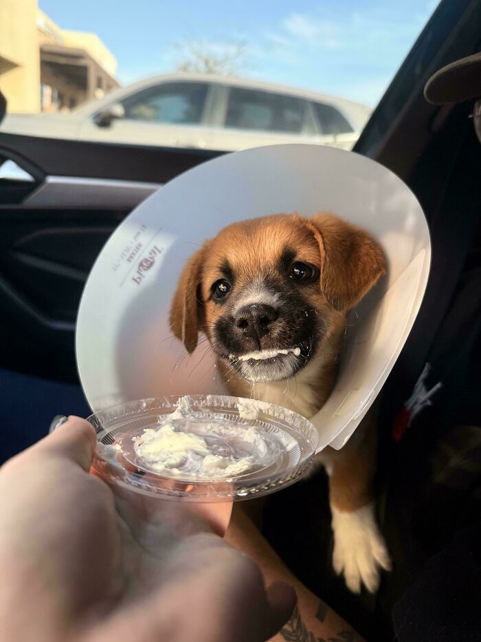 Meet Siggy, The Lil Sweetheart Just Adopted