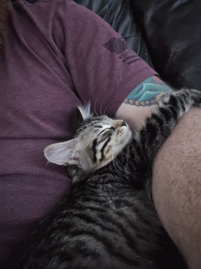 83 Adorable Rescue Pets Who Just Found Their Forever Homes (February Edition)