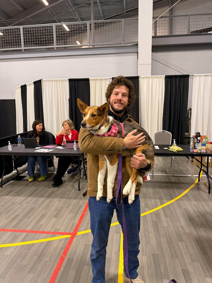 83 Adorable Rescue Pets Who Just Found Their Forever Homes (February Edition)