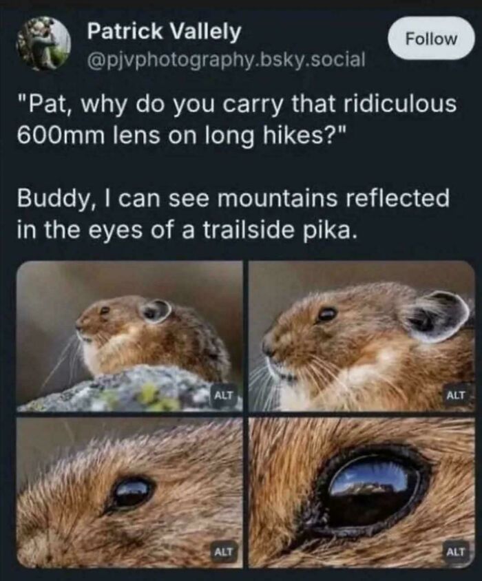 “Buddy, I Can See Mountains Reflected In The Eyes Of A Trailside Pika.”