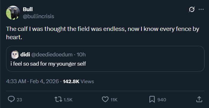 Wait, They Actually Said That?! 40 Wild Sentences That Will Make You Do A Double Take