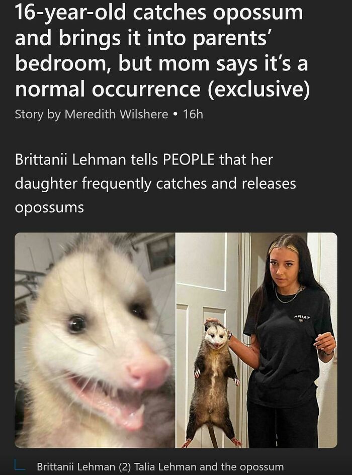 Wait, They Actually Said That?! 40 Wild Sentences That Will Make You Do A Double Take