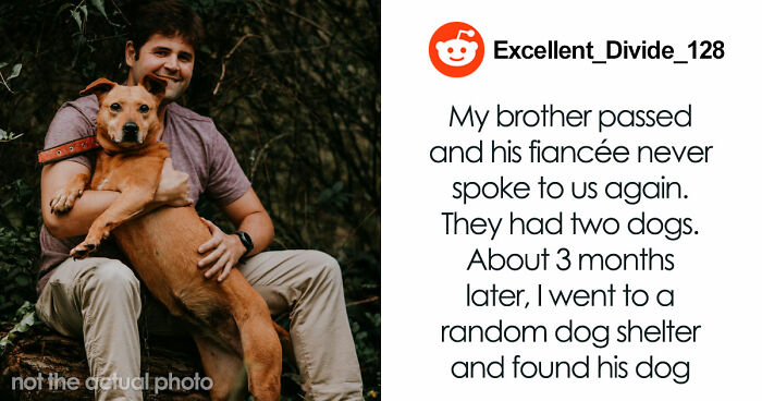 Wait, These 67 Wild Crazy Stories Actually Happened?!