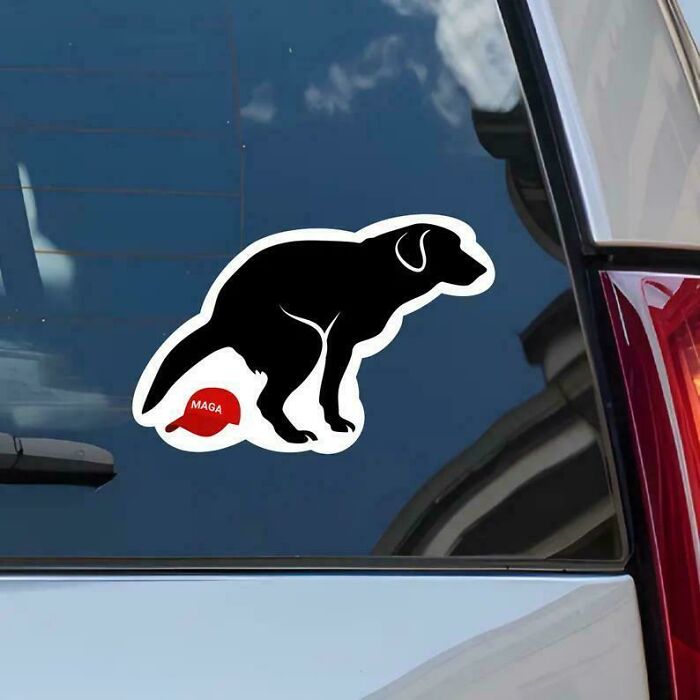 Hilarious Bumper Stickers That'll Make Your Commute Way More Fun