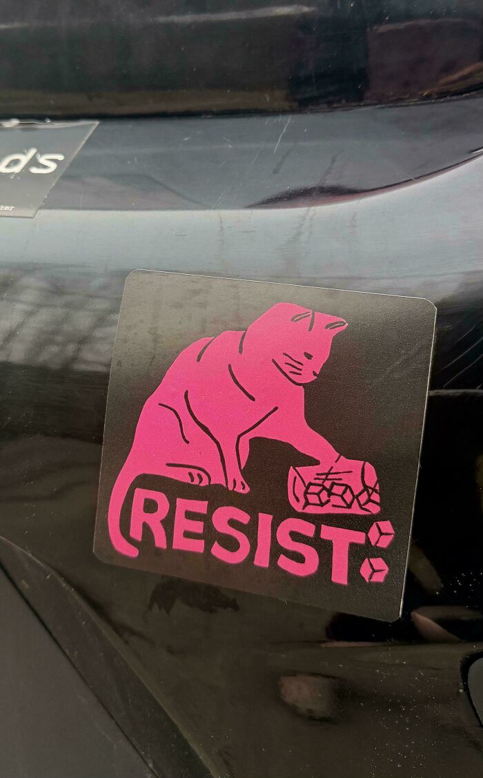 Hilarious Bumper Stickers That'll Make Your Commute Way More Fun