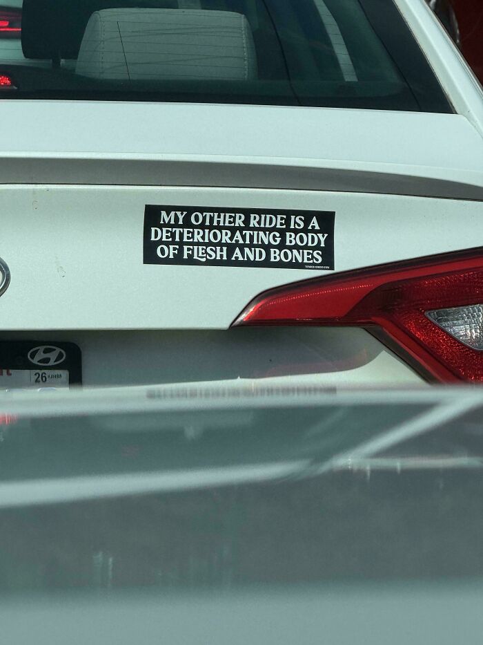 Hilarious Bumper Stickers That'll Make Your Commute Way More Fun