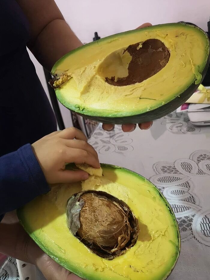 Avocado, But Make It Texas Size