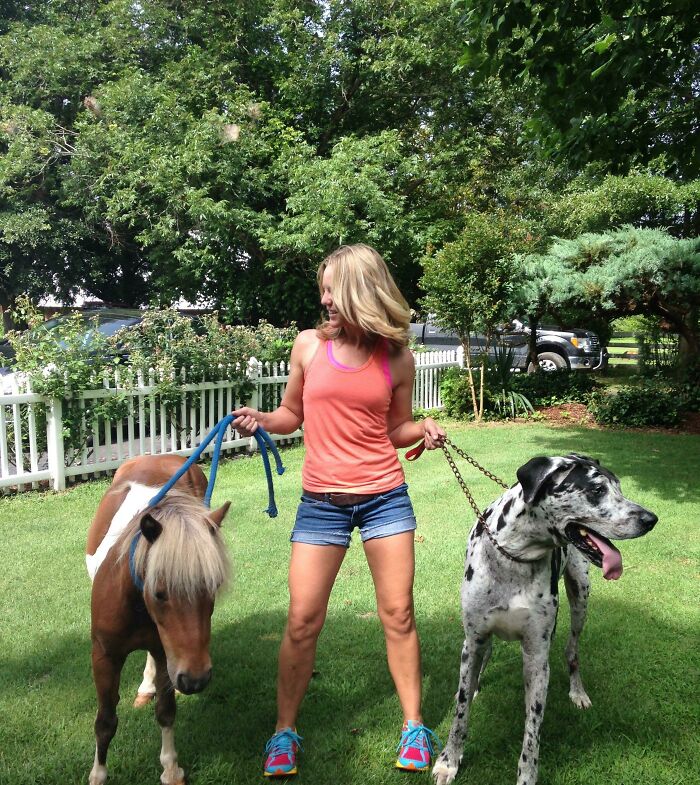 Is It a Pony Sized Dog or Dog Sized Pony? The World May Never Know
