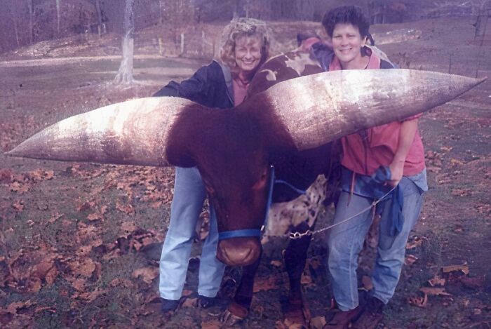 These Horns Could Make a Viking Jealous