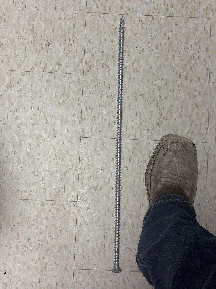 Big Screw Alert: This Bad Boy Holds Giant Things Together