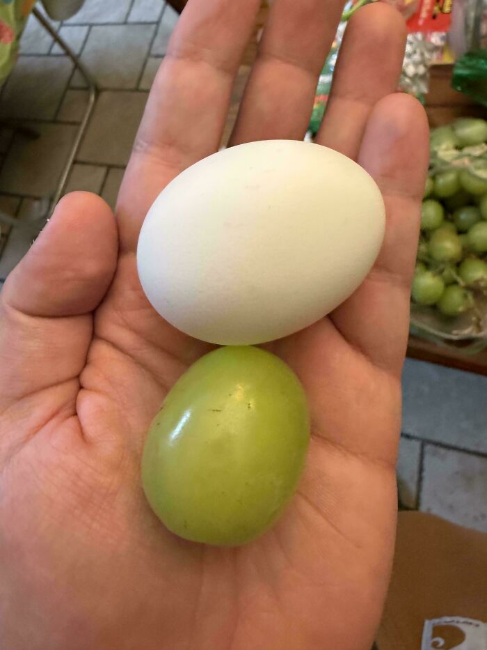 The Thickest Grape You’ll See Today and Maybe Ever