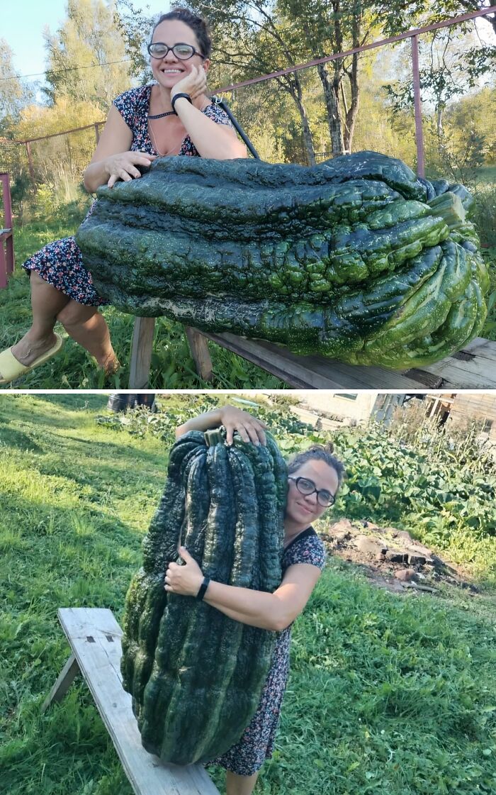 Zucchini That Could Feed a Family Reunion