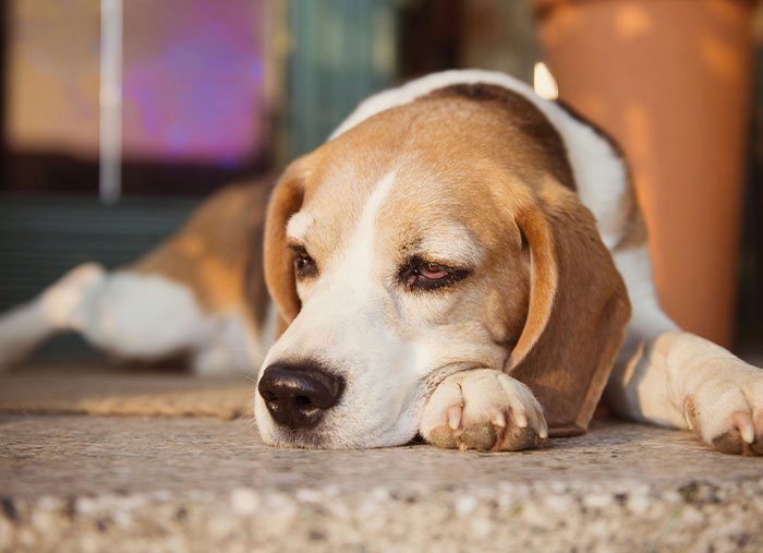 Wait, They Actually Shared These Family Secrets?!