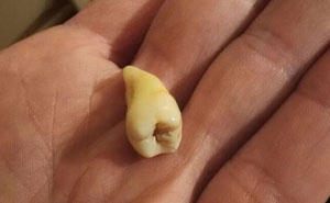 Wait, People Actually Found THIS Freaky Stuff Hidden in Their New Homes?!