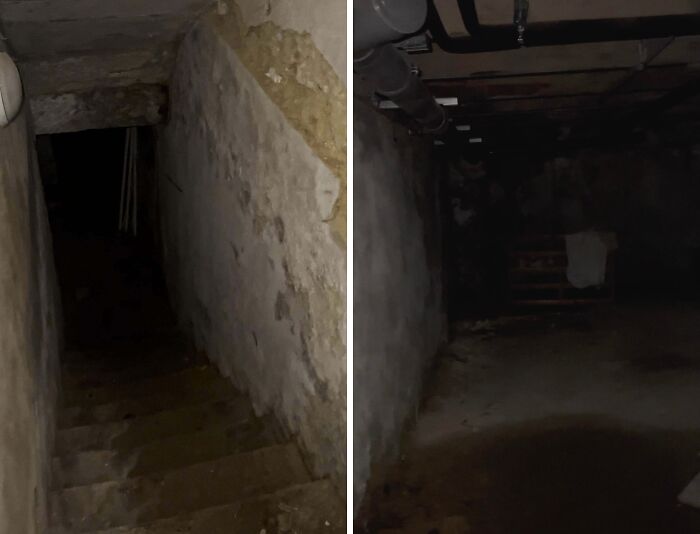 Found a Maze of Tunnels Under My House—And They’re Freaky!