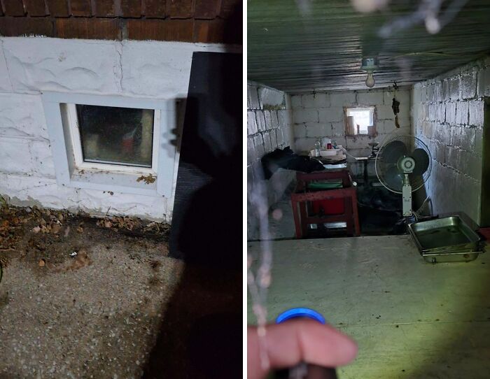 Hidden Room Inside Basement? Found a Creepy Setup with Animal Remains and Knives!