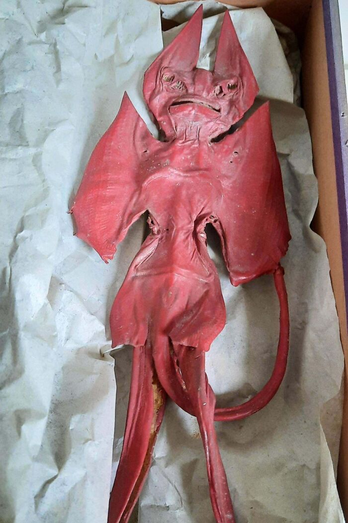 What on Earth is This Red Leather Devil Thing Found In an Attic Box?