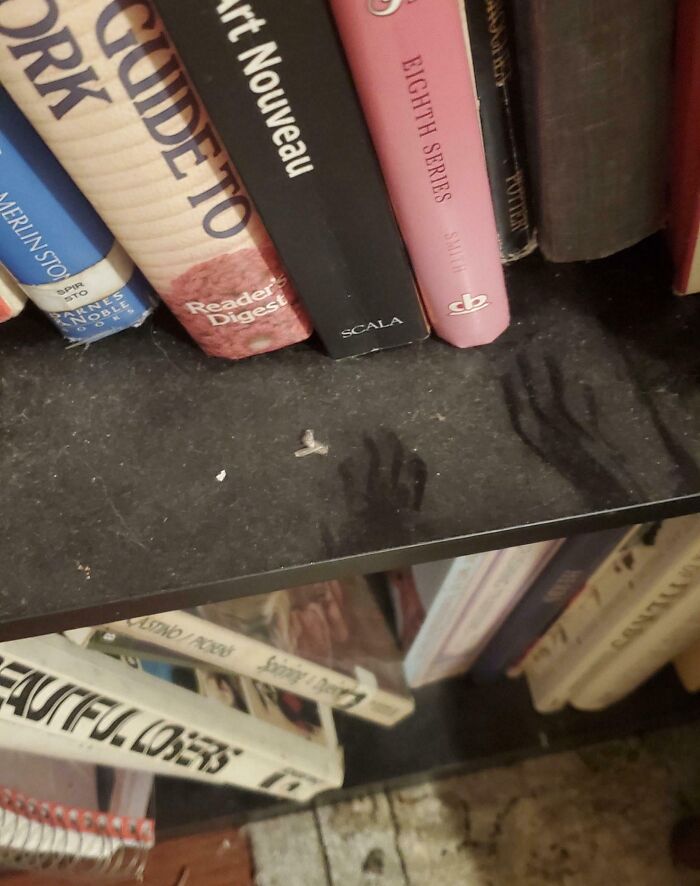 Left Home for a Few Months, Came Back and Found Tiny Handprints!