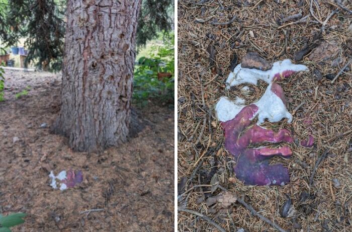 Found This After Clearing Out Over a Foot of Pine Needles—Previous Owners Had No Idea